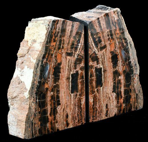 Tall, Unique, Arizona Petrified Wood Bookends #56038